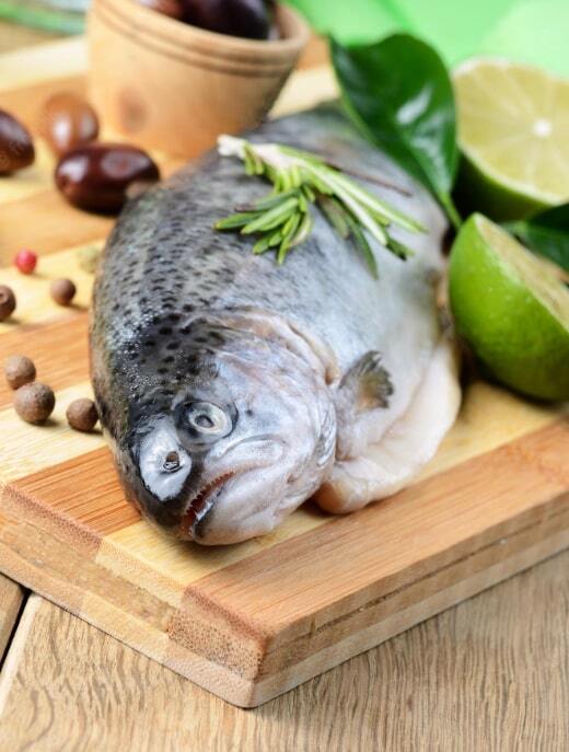 Trout or Salmon Fish in Iran